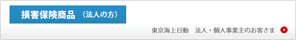 取扱保険商品損害保険法人向け