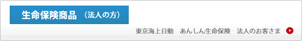 取扱保険商品生命保険法人向け