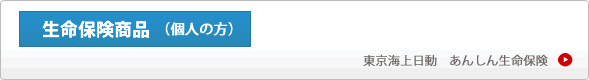 取扱保険商品生命保険個人向け